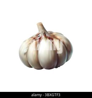 Disegno vettoriale dell'aglio su sfondo bianco Vol 02 Illustrazione Vettoriale