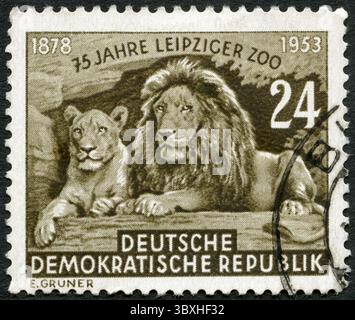 REPUBBLICA DEMOCRATICA TEDESCA - CIRCA 1953: Un francobollo stampato nella RDT mostra Leone e Lionessa, 75° anniversario dello zoo di Lipsia, circa 1953 Foto Stock