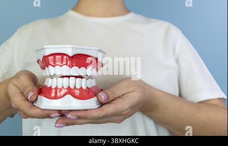 Donna caucasica che tiene un modello dentale che mostra denti e gengive Foto Stock