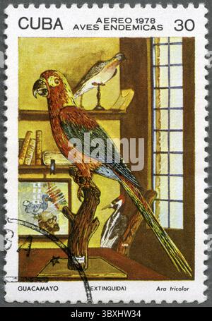 CUBA - 1978 CIRCA: Un francobollo stampato a Cuba mostra l'uccello farcito cubano Red Macaw all'interno - Ara tricolor, 1978 circa Foto Stock