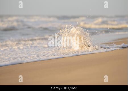 Surf nel Mare del Nord al largo di Rantum Foto Stock