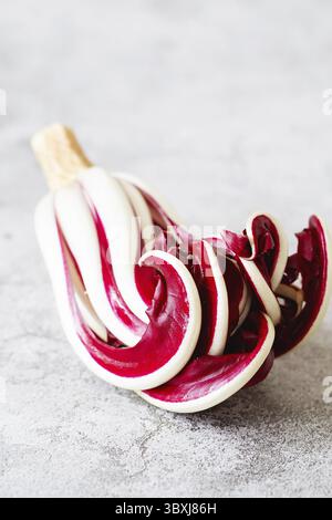 Radicchio Rosso di Treviso. Rosso brillante con un sapore leggermente amaro, Radicchio Rosso di Treviso IGP utilizza l'acqua naturale di sorgente per far uscire i suoi parti Foto Stock