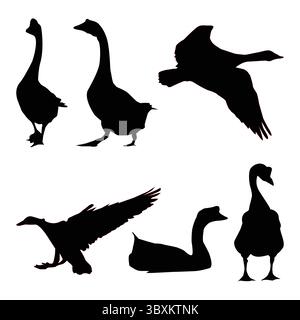 Sfondo senza cuciture Premium Vector Snow Goose su sfondo bianco Illustrazione Vettoriale