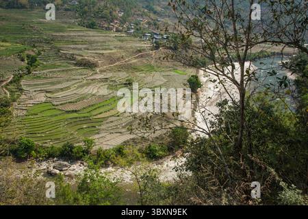 11 aprile 2013, Yambesa, Distretto di Punakha, Bhutan: Risaie terrazzate, la maggior parte arate per la piantagione, su una collina lungo il fiume Mho Chhu a Yambesa vicino a Punakha, Bhutan. (Immagine di credito: © Jon G. Fuller/VW Pics via ZUMA Press Wire) Foto Stock