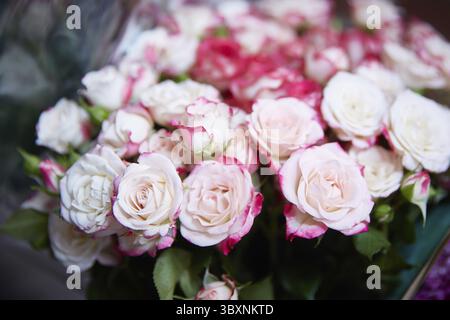Grande bouquet di rose rosa da vicino Foto Stock