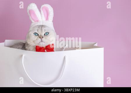 Un simpatico gatto bianco in un cappello con orecchie conigliette e un papillon rosso si trova in un grande sacchetto di carta bianca, su sfondo rosa. Primo piano. Copia spazio Foto Stock