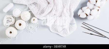 Cibo, concetto di maglieria, palle, fili, ganci e aghi per maglieria su banner Web blu con vista superiore Foto Stock