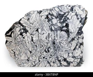 Pinolite, deposito Magnesite, Stiria, Austria Foto Stock