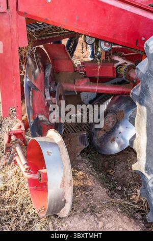 3 dicembre 2021: Le macchine per l'estirpazione di una raccoglitrice di patate. La parte circolare a destra viene abbassata e spinge le patate e lo sporco. Il flagello a sinistra con i bracci flessibili li spinge verso l'alto sul trasportatore visto dietro. Vengono quindi trasportati lungo il sistema di trasporto per separare le polveri di sporco dalle patate. Moab, Utah. (Immagine di credito: © Jon G. Fuller/VW Pics via ZUMA Press Wire) Foto Stock