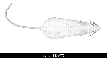 Un mouse è mostrato in un'illustrazione in bianco e nero. Il topo si è arricciato e sta dormendo. Vista dall'alto. 3D. Illustrazione Vettoriale