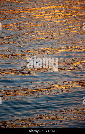 La luce della sera si riflette sulle onde del lago di Ginevra, vicino a Clarens, Svizzera, Foto Stock