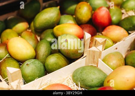 Mango maturo fresco in casse di legno. Varietà di frutti verdi gialli e rossi. Esposizione della raccolta di frutta tropicale al mercato. Cibo biologico naturale. Foto Stock