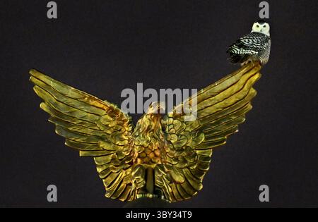 13 gennaio 2022, Washington, DC, USA: A Snowy Owl visita Union Station per la gioia degli appassionati di birdwatching e dei fotografi a Washington DC il 13 gennaio 2022. (Immagine di credito: © Carol Guzy/ZUMA Press Wire) Foto Stock