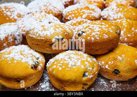 Muffin pronti al forno con uvetta cosparsa di zucchero a velo su un vassoio da primo piano. Foto Stock