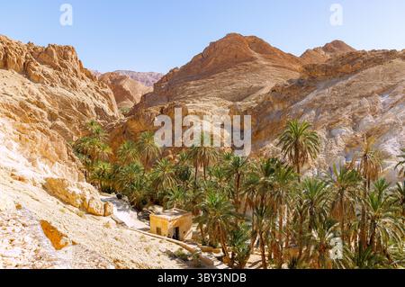 Oasi di montagna Chebika con palmeti verdi nell'Atlante del Sahara, Tunisia Foto Stock