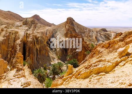 Paesaggio del canyon con strati rocciosi colorati e vista del palmeto nell'oasi di montagna di Chebika, Tunisia Foto Stock