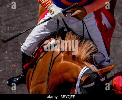 29 gennaio 2022, Hallandale Beach, Florida, Stati Uniti: Gennaio 29, 2022: scene della giornata della Coppa del mondo di Pegasus al Gulfstream Park di Hallandale Beach, Florida, il 29 gennaio 2022. Scott serio/Eclipse Sportswire/CSM(immagine di credito: &Copy; Scott seri/CSM tramite cavo ZUMA) Foto Stock