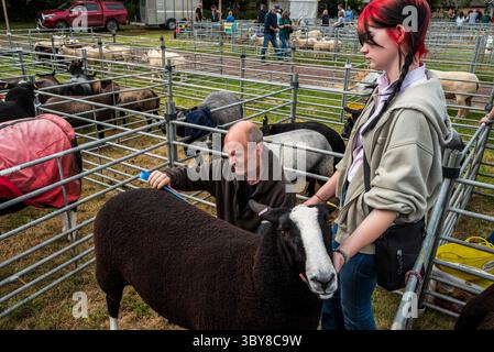 Sabato 19 luglio: Biggar Agricultural Show a Biggar, South Lanarkshire, Scozia Foto Stock