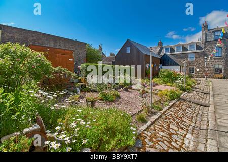 Aberdeen Harbour Footdee o Fittie il villaggio di pescatori, giardini e fiori decorati durante la corsa delle navi alte Foto Stock