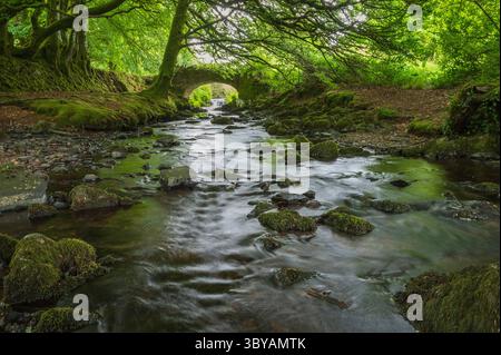 L'acqua di Weir scorre sotto il Robbers Bridge vicino a Oareford nell'Exmoor National Park, Somerset, Inghilterra, Regno Unito, nelle prime giornate estive. Foto Stock