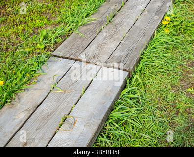 Piattaforma in legno come percorso di giardino Foto Stock