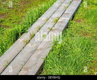 Percorso giardino in tavole di legno Foto Stock