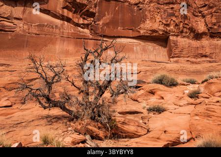 25 marzo 2009, Moab, Utah, Stati Uniti: I pittogrammi di arte rupestre dipinta del Courthouse Creek Panel nell'Arches National Park sono stati dipinti nello stile del Barrier Canyon circa 3000 anni fa. (Immagine di credito: © Jon G. Fuller/VW Pics via ZUMA Press Wire) Foto Stock