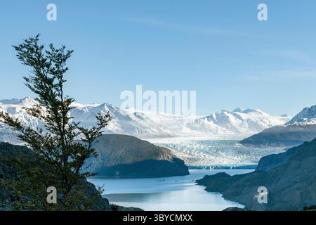 Vista dall'alto del Ghiacciaio Grey e del Lago Grey circondati da montagne innevate del massiccio del Paine lungo il percorso escursionistico W-Trek a Torres del Paine N. Foto Stock
