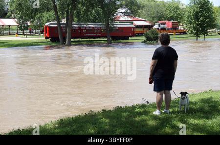 10 giugno 2008 - Una donna che cammina con il suo cane si ferma a guardare le acque inondate del fiume Baraboo mentre scorre nei giardini del Circus World Museum di Baraboo, Wisconsin, martedì 10 giugno 2008. (Immagine di credito: © Joe Koshollek/Milwaukee Journal Sentinel via ZUMA Press Wire) Foto Stock
