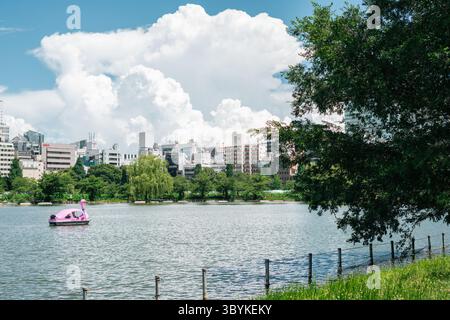 Tokyo, Giappone - 10 luglio 2025: Estate del Parco di Ueno stagno Shinobazu Foto Stock