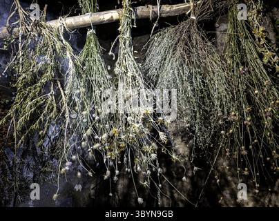 Dettaglio delle erbe essiccate per trattamenti medicinali tradizionali Foto Stock