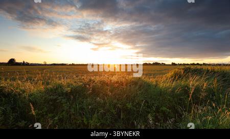 Il sole tramonta sulla campagna irlandese, Clogherhead County Louth, Repubblica d'Irlanda Foto Stock