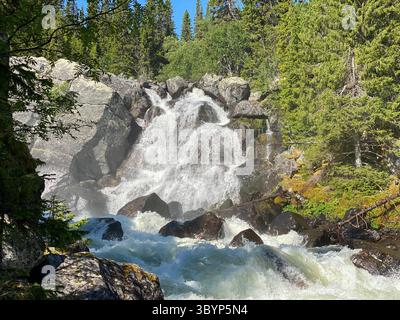 Una maestosa cascata scorre attraverso una lussureggiante foresta verde, creando uno splendido paesaggio naturale. Foto Stock