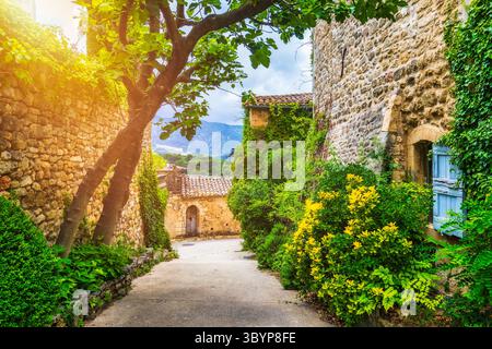 Affascinante strada nel pittoresco villaggio di Menerbes con edifici colorati e fiori vivaci. Villaggio di Menerbes (il più bel villaggio in Francia) nel Foto Stock