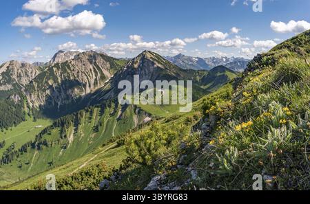 Arrampicandosi sulla Via Ferrata di Edelrid fino alla cima di Iseler nei pressi di Oberjoch Bad Hindelang nei monti Allgau Foto Stock
