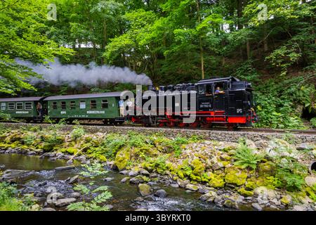 Weißeritztalbahn im Rabenauer Grund die Schmalspurbahn Freital-Hainsberg Kurort Kipsdorf, auch Weißeritztalbahn, ist eine Sächsische Schmalspurbahn im Osterzgebirge. SIE zweigt im Bahnhof Freital-Hainsberg von der Bahnstrecke Dresden Werdau ab und führt im tal der Roten Weißeritz über Dippoldiswalde und Schmiedeberg nach Kipsdorf. Die Strecke Gilt heute als dienstälteste öffentlich betriebene Schmalspurbahn Deutschlands. Rabenau Sachsen Deutschland *** Weißeritztalbahn a Rabenauer Grund la ferrovia a scartamento ridotto Freital Hainsberg Kurort Kipsdorf, nota anche come Weißeritztalbahn, è una ferrovia sassone Foto Stock