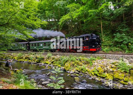 Weißeritztalbahn im Rabenauer Grund die Schmalspurbahn Freital-Hainsberg Kurort Kipsdorf, auch Weißeritztalbahn, ist eine Sächsische Schmalspurbahn im Osterzgebirge. SIE zweigt im Bahnhof Freital-Hainsberg von der Bahnstrecke Dresden Werdau ab und führt im tal der Roten Weißeritz über Dippoldiswalde und Schmiedeberg nach Kipsdorf. Die Strecke Gilt heute als dienstälteste öffentlich betriebene Schmalspurbahn Deutschlands. Rabenau Sachsen Deutschland *** Weißeritztalbahn a Rabenauer Grund la ferrovia a scartamento ridotto Freital Hainsberg Kurort Kipsdorf, nota anche come Weißeritztalbahn, è una ferrovia sassone Foto Stock