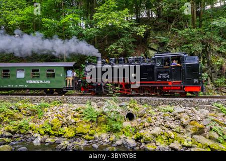 Weißeritztalbahn im Rabenauer Grund die Schmalspurbahn Freital-Hainsberg Kurort Kipsdorf, auch Weißeritztalbahn, ist eine Sächsische Schmalspurbahn im Osterzgebirge. SIE zweigt im Bahnhof Freital-Hainsberg von der Bahnstrecke Dresden Werdau ab und führt im tal der Roten Weißeritz über Dippoldiswalde und Schmiedeberg nach Kipsdorf. Die Strecke Gilt heute als dienstälteste öffentlich betriebene Schmalspurbahn Deutschlands. Rabenau Sachsen Deutschland *** Weißeritztalbahn a Rabenauer Grund la ferrovia a scartamento ridotto Freital Hainsberg Kurort Kipsdorf, nota anche come Weißeritztalbahn, è una ferrovia sassone Foto Stock