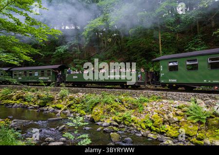 Weißeritztalbahn im Rabenauer Grund die Schmalspurbahn Freital-Hainsberg Kurort Kipsdorf, auch Weißeritztalbahn, ist eine Sächsische Schmalspurbahn im Osterzgebirge. SIE zweigt im Bahnhof Freital-Hainsberg von der Bahnstrecke Dresden Werdau ab und führt im tal der Roten Weißeritz über Dippoldiswalde und Schmiedeberg nach Kipsdorf. Die Strecke Gilt heute als dienstälteste öffentlich betriebene Schmalspurbahn Deutschlands. Rabenau Sachsen Deutschland *** Weißeritztalbahn a Rabenauer Grund la ferrovia a scartamento ridotto Freital Hainsberg Kurort Kipsdorf, nota anche come Weißeritztalbahn, è una ferrovia sassone Foto Stock
