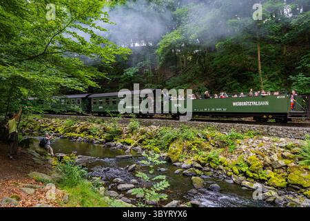 Weißeritztalbahn im Rabenauer Grund die Schmalspurbahn Freital-Hainsberg Kurort Kipsdorf, auch Weißeritztalbahn, ist eine Sächsische Schmalspurbahn im Osterzgebirge. SIE zweigt im Bahnhof Freital-Hainsberg von der Bahnstrecke Dresden Werdau ab und führt im tal der Roten Weißeritz über Dippoldiswalde und Schmiedeberg nach Kipsdorf. Die Strecke Gilt heute als dienstälteste öffentlich betriebene Schmalspurbahn Deutschlands. Rabenau Sachsen Deutschland *** Weißeritztalbahn a Rabenauer Grund la ferrovia a scartamento ridotto Freital Hainsberg Kurort Kipsdorf, nota anche come Weißeritztalbahn, è una ferrovia sassone Foto Stock