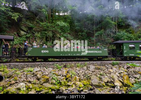 Weißeritztalbahn im Rabenauer Grund die Schmalspurbahn Freital-Hainsberg Kurort Kipsdorf, auch Weißeritztalbahn, ist eine Sächsische Schmalspurbahn im Osterzgebirge. SIE zweigt im Bahnhof Freital-Hainsberg von der Bahnstrecke Dresden Werdau ab und führt im tal der Roten Weißeritz über Dippoldiswalde und Schmiedeberg nach Kipsdorf. Die Strecke Gilt heute als dienstälteste öffentlich betriebene Schmalspurbahn Deutschlands. Rabenau Sachsen Deutschland *** Weißeritztalbahn a Rabenauer Grund la ferrovia a scartamento ridotto Freital Hainsberg Kurort Kipsdorf, nota anche come Weißeritztalbahn, è una ferrovia sassone Foto Stock