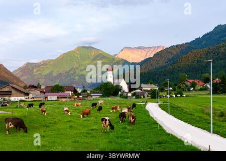 Heiterwang: Villaggio e chiesa Heiterwang, mucche, valle di Grundbach, zona di Zwischentoren, Außerfern in Tiroler Zugspitz Arena, Tirolo, Austria Foto Stock