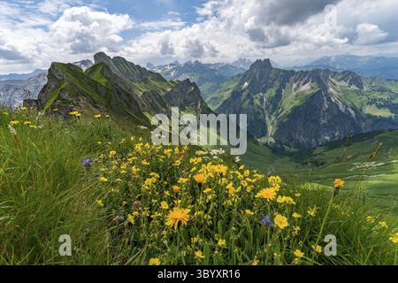 Meravigliosa escursione in alta quota dal Nebelhorn Edmund-Probst-Haus attraverso il Laufbacher Eck fino all'Oytal nelle Alpi Allgau vicino a Oberstorf Foto Stock