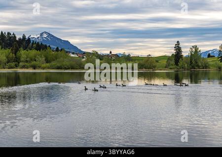Bellissima escursione lungo il lago Rottachsee con sentiero di burroni fino alle rovine di Burgkranzegg nella regione di Allgau Foto Stock