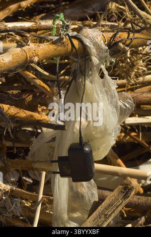 Nei rami di un albero morto si incasina la sacca di plastica e il vecchio caricatore Foto Stock