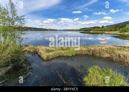 Bellissima escursione lungo il lago Rottachsee con sentiero di burroni fino alle rovine di Burgkranzegg nella regione di Allgau Foto Stock