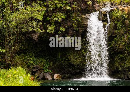 Splendida cascata lungo la strada per Hana, Maui, Hawaii Foto Stock