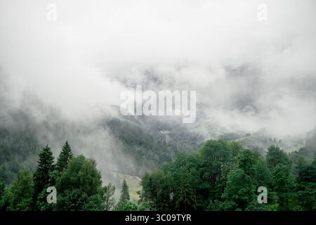 Fitta nebbia che si propaga attraverso la foresta di conifere nelle Alpi austriache Foto Stock