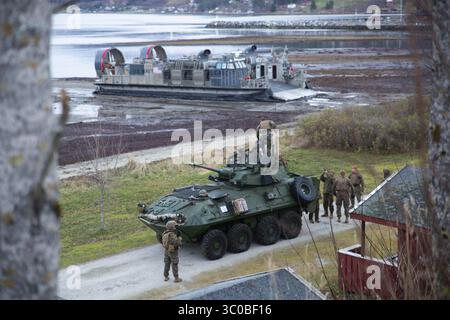 30 ottobre 2018 - Alvund, Norvegia - Marines statunitensi con la 24th Marine Expeditionary Unit, conducono un atterraggio anfibio su un veicolo da combattimento Bradley durante l'esercitazione Trident giuntura 18 ottobre 30, 2018 ad Alvund, Norvegia. L'esercitazione multinazionale è la più grande esercitazione NATO dal 2015, e comprende più di 50.000 membri militari provenienti da 31 paesi. (Immagine di credito: © Averi Coppa via ZUMA Wire) Foto Stock