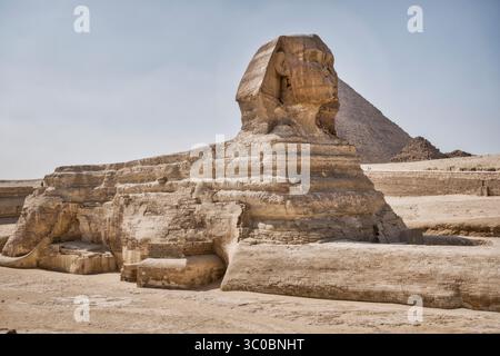 Grande Sfinge di Giza, Giza, Egitto Foto Stock